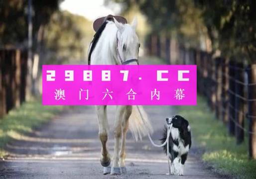 4949澳门彩开奖结果今天最新查询一,创意解答解释落实_试探款8.477