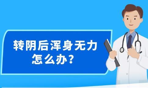 新澳精准资料大全免费更新,实地策略计划验证_轻量版60.243