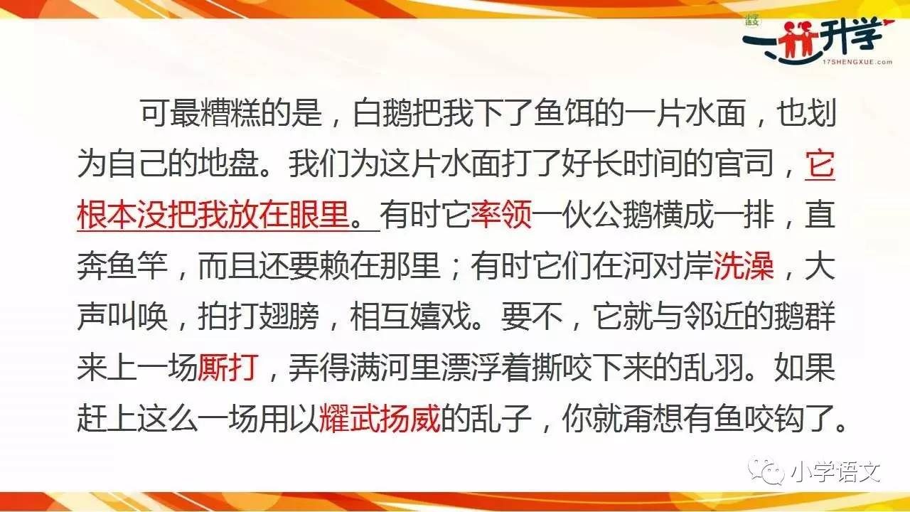 白小姐资料大全+正版资料白小姐奇缘四肖,实用性执行策略讲解_V254.592