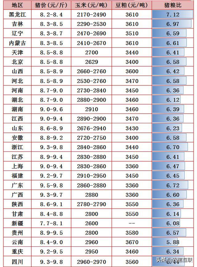 今日猪价动态及市场走势分析