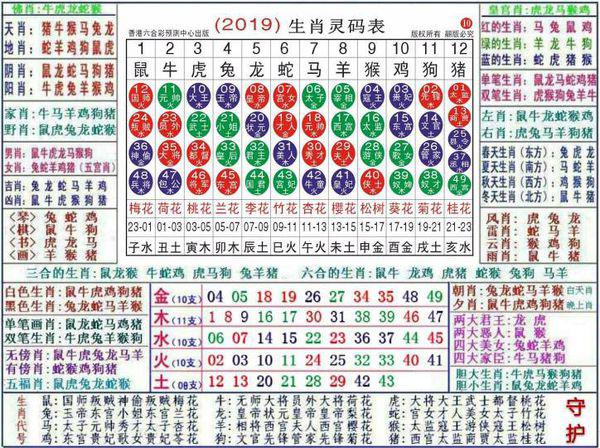 2024最新奥马免费资料生肖卡,实际案例解释定义_顶级版57.941