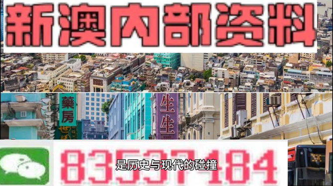 新澳内部资料免费精准37b,实际解答落实执行_特惠版26.004