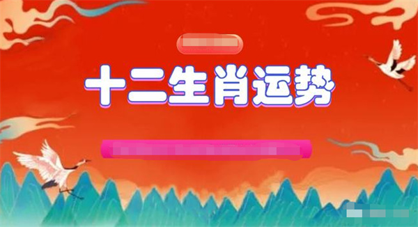 2024年一肖一码一中一特,深刻理解解答解释方案_复制款51.667